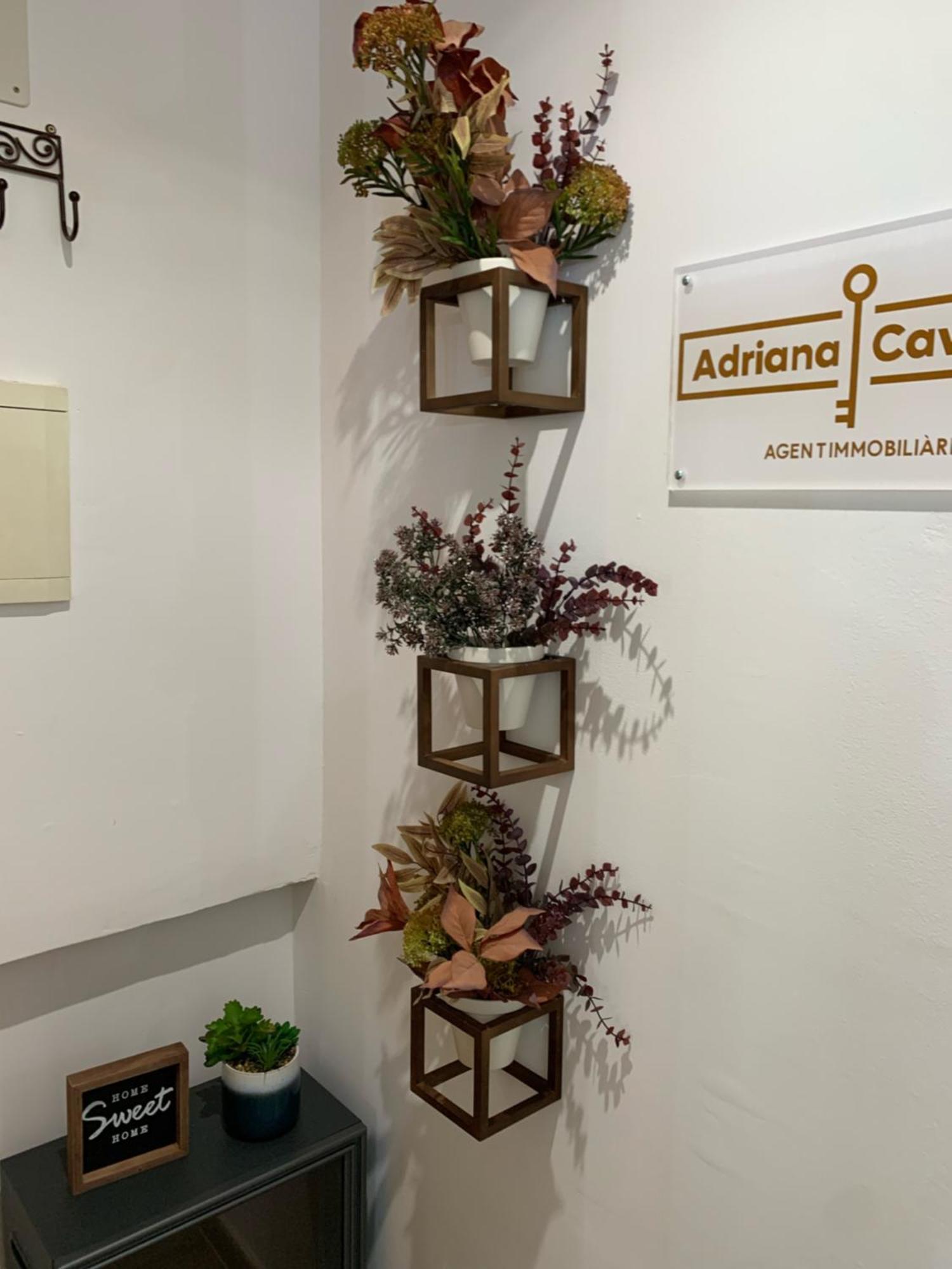 Apartamento Anfiteatre Roma